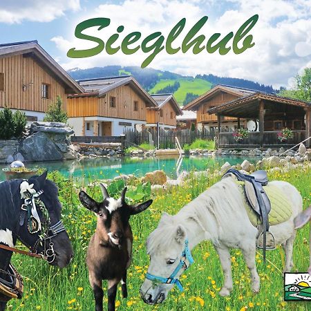 Sieglhub Chalets - Appartements - Hotel Flachau Kültér fotó
