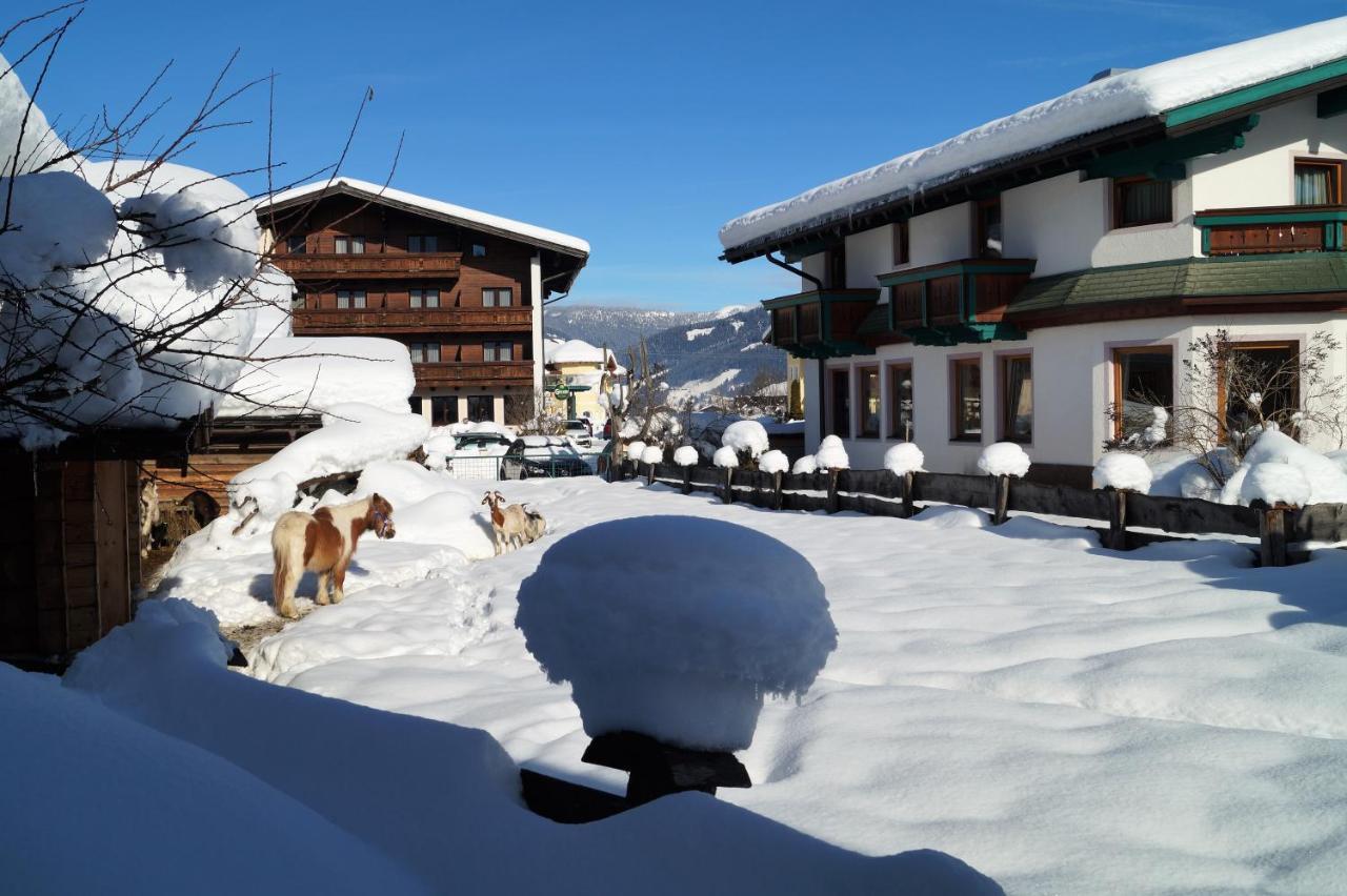 Sieglhub Chalets - Appartements - Hotel Flachau Kültér fotó
