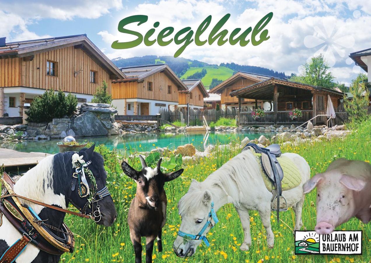 Sieglhub Chalets - Appartements - Hotel Flachau Kültér fotó